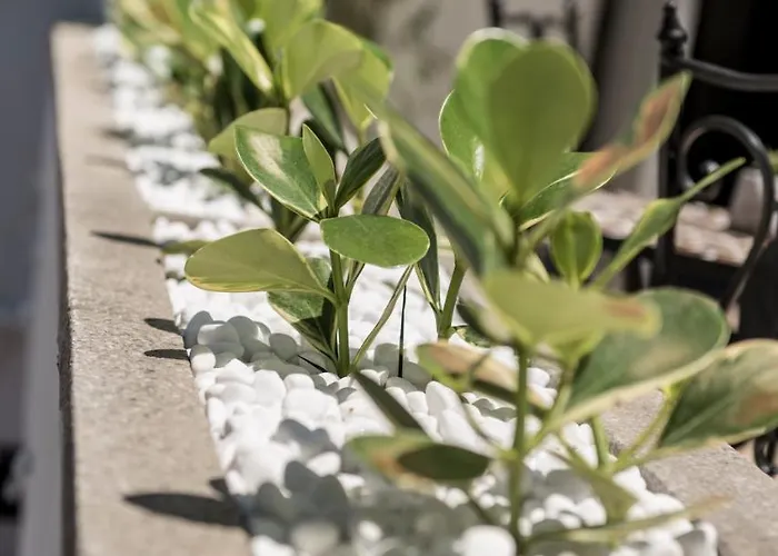 Kumba Auberge de jeunesse *